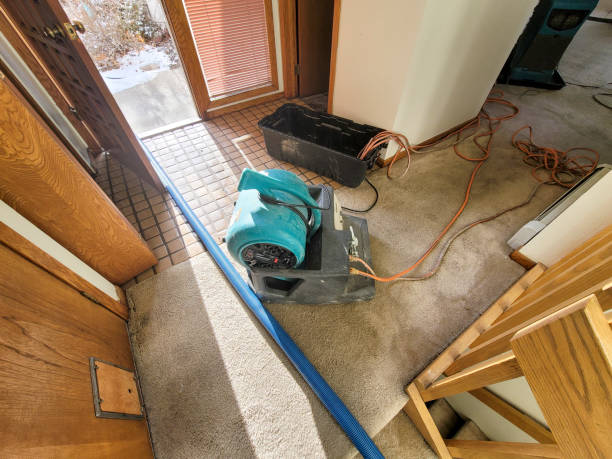 Best Flood damage cleanup  in Mountain House, CA