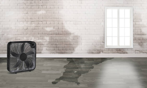 Best Emergency water damage restoration  in Mountain House, CA