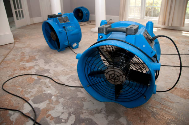 Best Water damage contractors near me  in Mountain House, CA