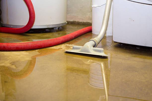 Best Water damage restoration company  in Mountain House, CA