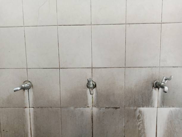 Best Flooded house restoration  in Mountain House, CA