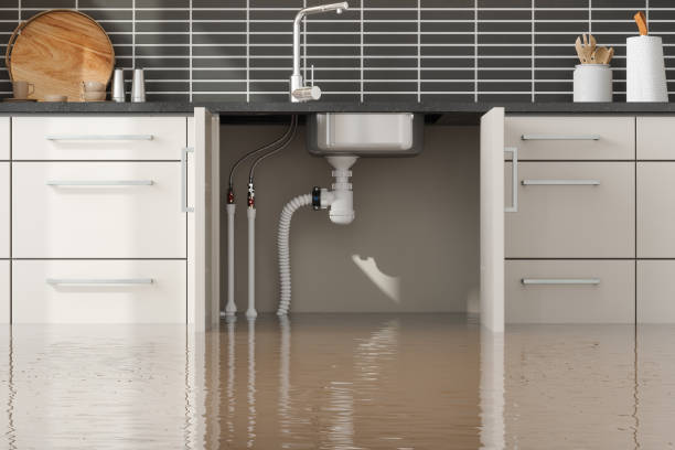 Best Basement water damage restoration  in Mountain House, CA